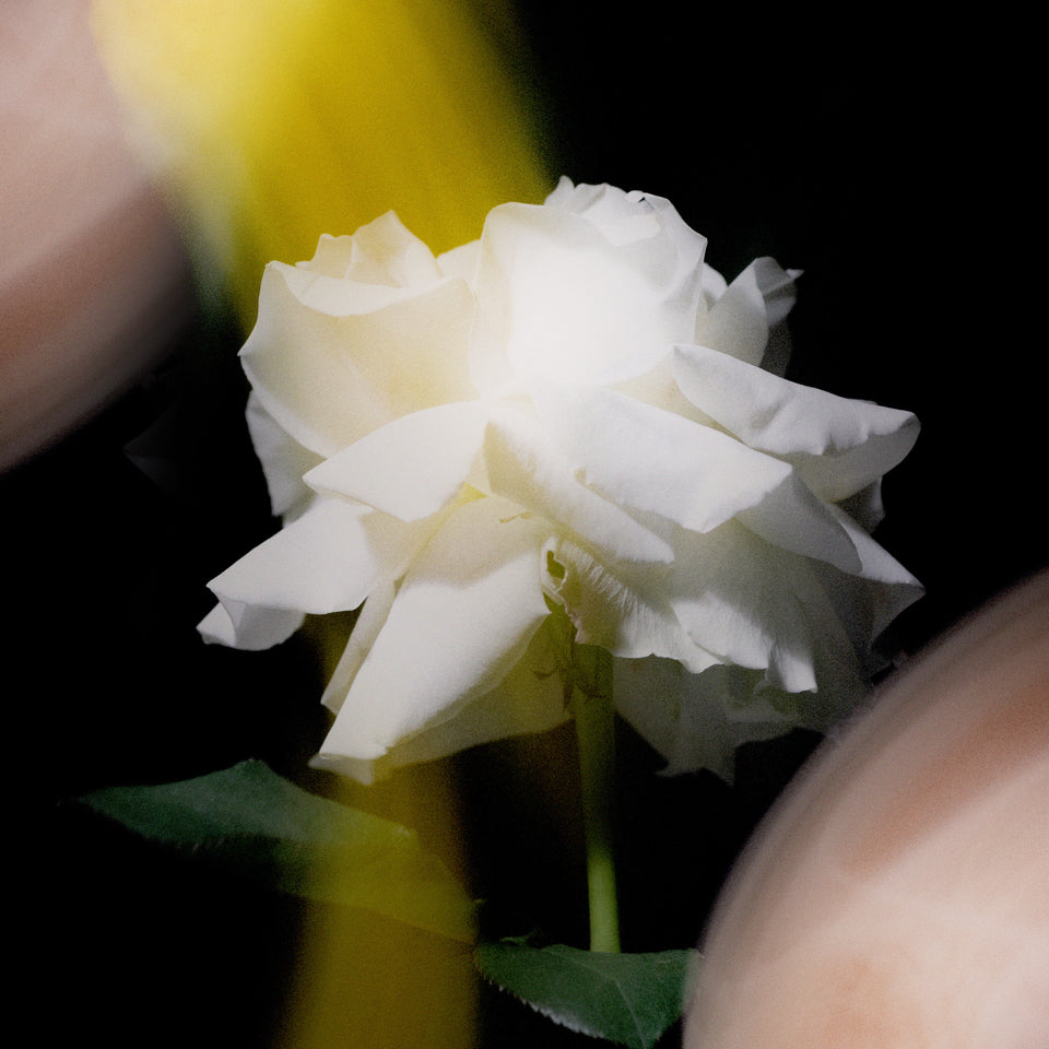 
                        
                          Load image into Gallery viewer, MIDNIGHT NOISE PARFUM
                        
                      